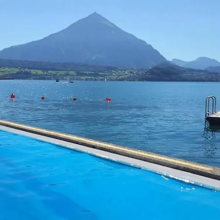 Thun Alps Scenic Views And Concierge By Swisshut *
