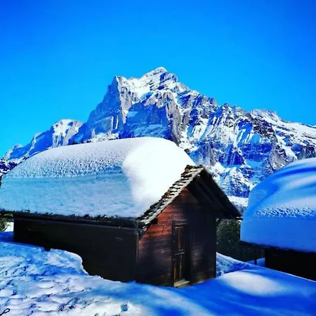 Thun Alps Scenic Views And Concierge By Swisshut 度假居