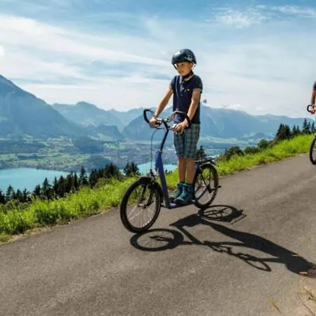 Thun Alps Scenic Views And Concierge By Swisshut Casa de férias Sigriswil