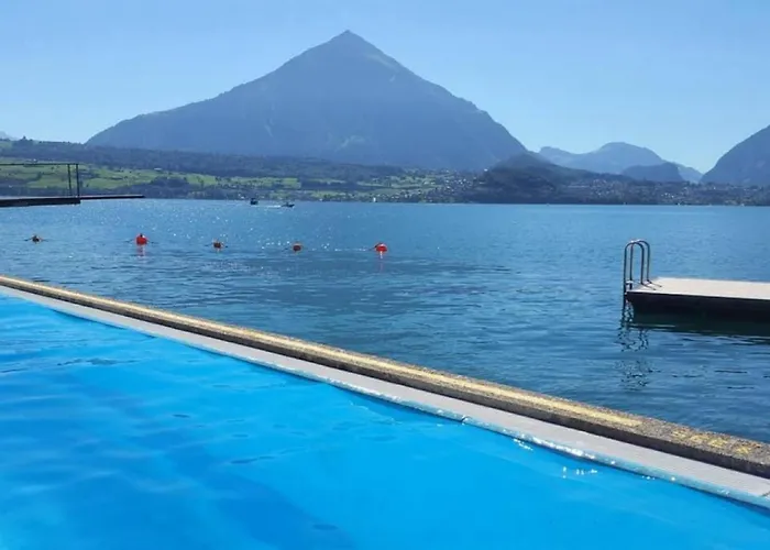 Thun Alps Scenic Views And Concierge By Swisshut *