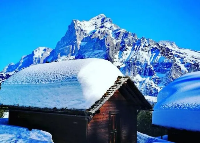 Thun Alps Scenic Views And Concierge By Swisshut 펜션