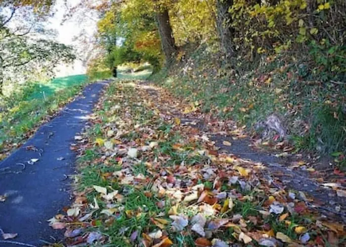 Thun Alps Scenic Views And Concierge By Swisshut * Sigriswil