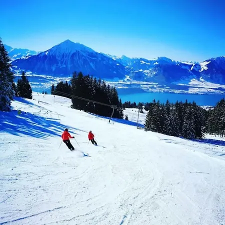 Nyaraló Thun Alps Scenic Views And Concierge By Swisshut Sigriswil