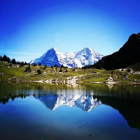 Semesterbostad Swisshut Stunning Views Alps - Apart. Herzog 24 *