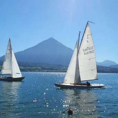 Swisshut Stunning Views Alps - Apart. Herzog 24 Sigriswil