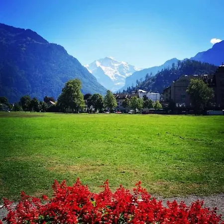 Semesterbostad Swisshut Stunning Views Alps - Apart. Herzog 24 Sigriswil