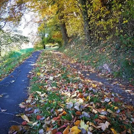 Thun Alps Scenic Views And Concierge By Swisshut * Sigriswil